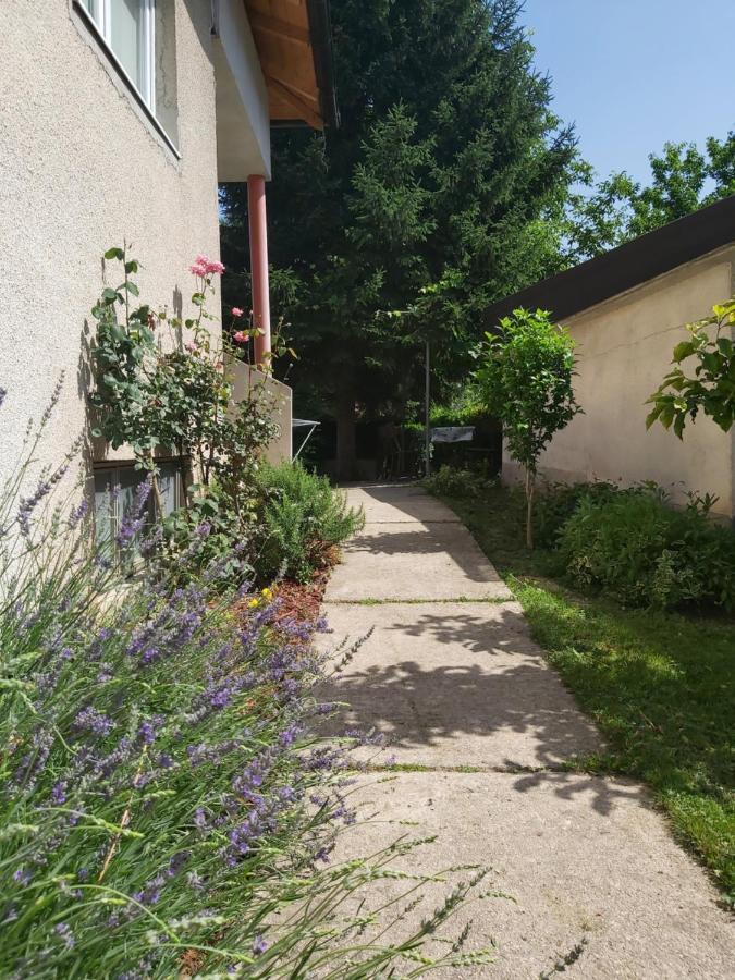 Sadrvan Una Apartment Bihać エクステリア 写真
